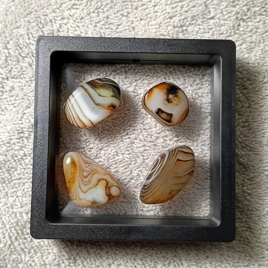 Lace Banded Agate – 4 Piece Set in Floating Display Frame
