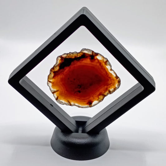 Polished Brown Agate Slice in Floating Frame Display